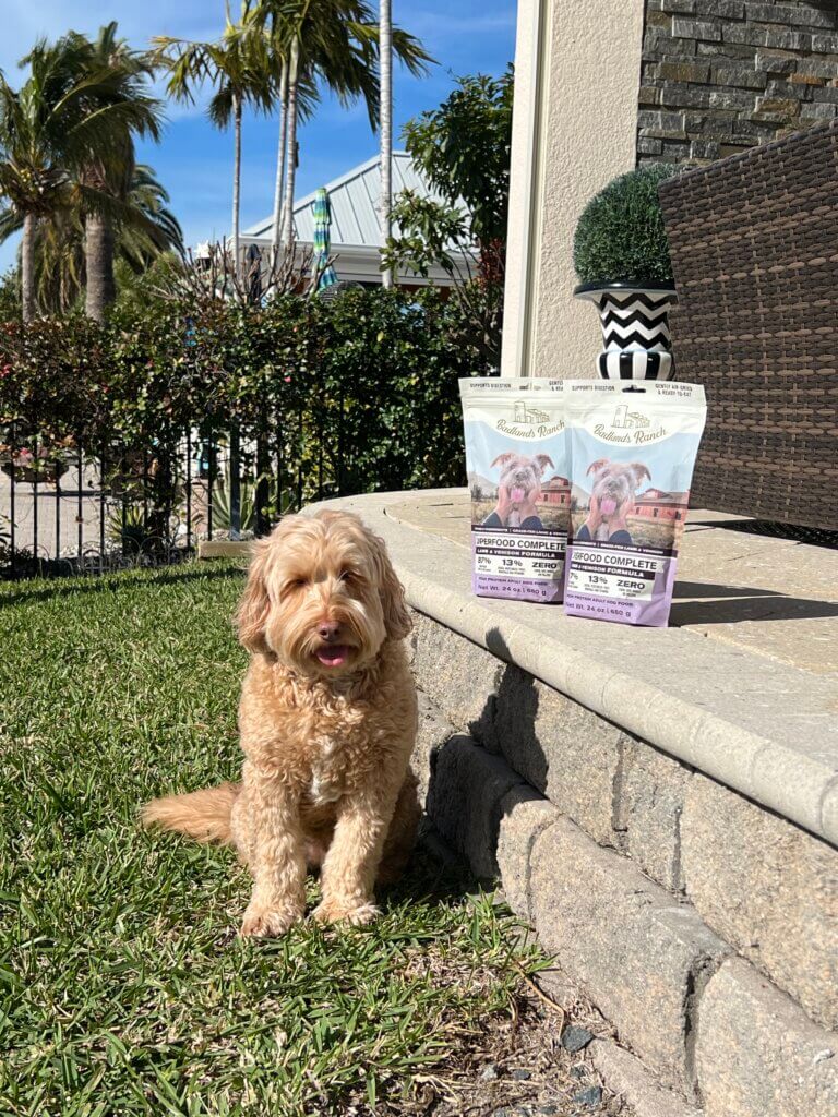 Amy McKillop's dog sitting outside next to bags of dog food.